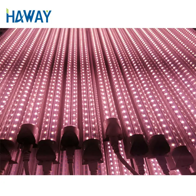 2020 뜨거운 판매 T8 통합 LED 식물 튜브 빛 40W / 18W 1500mm /1200mm LED 성장 튜브 빛 85V-265V AC