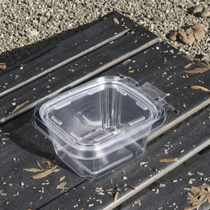 Dùng Một Lần Rõ Ràng Bản Lề Nhựa Pet Container Có Nắp Đậy Khay Cho Bánh Kẹo Đường Trái Cây Tươi Rõ Ràng Nhựa Vỏ Sò Bao Bì Thực Phẩm - Product Image 1