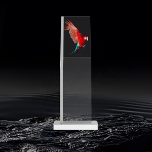 Kiosque à écran tactile OLED transparent de 30 pouces - Product Image 1