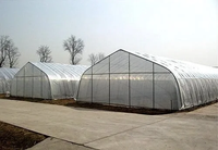 Serre en plastique de type tunnel économique pour la croissance des plantes, serre de qualité supérieure au meilleur prix, serre agricole