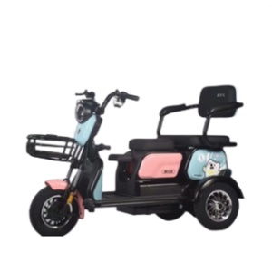 Triciclo Eléctrico Familiar Más Barato de China, 600W 48V, Trimoto Eléctrica, Scooter Eléctrico de 3 Ruedas para Adultos con Cesta - Product Image 2