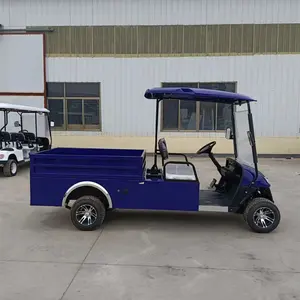 4x4 72 В литиевая батарея 2-местная мини-автомобильная тележка для гольфа электрическая с грузовым ящиком