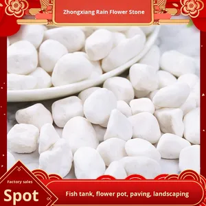 Confezione da 20kg di ciottoli di pietra naturale bianca <span class=keywords><strong>per</strong></span> vasi succulenti cortile abbellimento decorazione acquario pioggia bianca fiore pietre - Product Image 4