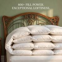 Couette de luxe 90% duvet de canard blanc, chaleur toute saison, ensembles de couettes en coton, literie, édredons de luxe, fabricant en gros