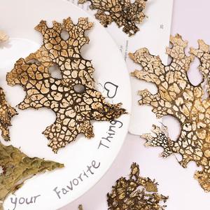 MNR1976 Échantillons de <span class=keywords><strong>fleurs</strong></span> et de feuilles naturelles pour coques de téléphone <span class=keywords><strong>DIY</strong></span>, cadres photo faits main et marque-pages - Product Image 2