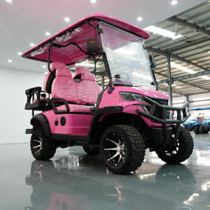 Voiturette de <span class=keywords><strong>golf</strong></span> à essence <span class=keywords><strong>4</strong></span> places surélevée avec moteur 3000W, autonomie de 90 km, <span class=keywords><strong>embrayage</strong></span> à couple élevé, pneus tout-terrain et protection anti-broussailles pour utilisation en ferme et ranch - Product Image 4