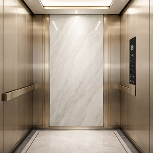 Ascenseur domestique haut de gamme, sûr, stable, silencieux et à traction, pour villas de luxe et maisons individuelles. - Product Image 6