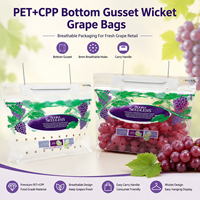 Sac à soufflet durable en PET/CPP de qualité alimentaire avec trou de poignée, emballage composite pour fruits (raisins)