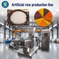 Machine de Production de riz blanc, alimentaire, capacité de fabrication stabilisée