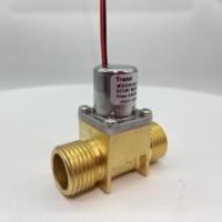 Transl 1/ 2 pouces DC 3 V 6 V électrovanne d'eau à impulsion en laiton bistable basse pression pour système de robinet intelligent