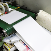 Vente en gros 30UP 5160 Compatible imprimable taille lettre étiquette d'adresse adhésive brillant mat clair Film feuille vinyle autocollant papier