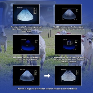 Sonde mécanique de <span class=keywords><strong>scanner</strong></span> d'ultrason de grossesse animale portative pour des contrôles de santé animale - Product Image 4