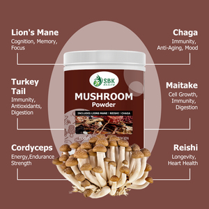 Best Seller Matcha Mushroom Collagen Increased Immunity Energy Supplement Matcha Energy Matcha Promote Cognitive Matcha - Product Image 3