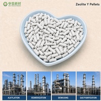 Bubuk Zeolit Y Mesopori sebagai Pendukung Katalis untuk Sintesis Kimia Industri Petrokimia dengan Area Permukaan Tinggi dan Stabil Termal