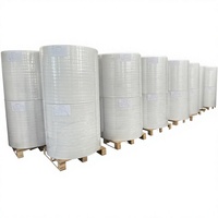 Papier thermique antistatique écologique en gros, rouleau jumbo imperméable, personnalisable, compatible avec l'impression numérique, pour le marché brésilien