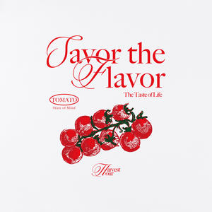 Camiseta Blanca y Negra Talla L 100% Algodón Unisex Transpirable Ropa Casual - Product Image 3