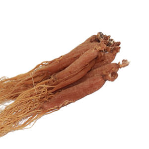 Planta extrato coreano vermelho ginseng raiz concentrado pó Panax ginseng extrato material para saúde chá e cápsula - Product Image 2