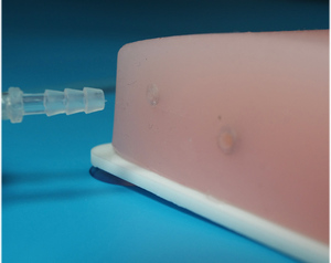 Modelo de Punción Vascular para Ciencias Médicas, Modelo de Punción Vascular Guiada por Ultrasonido para Enseñanza y Entrenamiento - Product Image 6