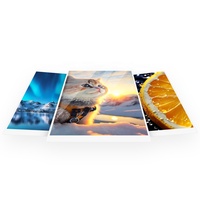 Lámina Adhesiva Personalizada para la Parte Trasera del Teléfono Móvil, Pegatinas en Blanco Antideslizantes, Juego de Papel Fotográfico para Impresora Fotográfica, Máquina de Corte de Películas