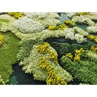 Tapis de sol en peluche unique de haute qualité, décoration moderne pour la maison, paysage forestier 3D doux, fait à la main, imprimé à la machine, respectueux de l'environnement