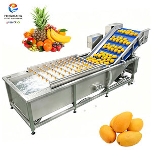 Tanque de Lavado de Burbujas para Frutas, Máquina de Limpieza de Burbujas para Frutas Frescas como Granada, Piña y Mango, para Procesamiento de Frutas - Product Image 1