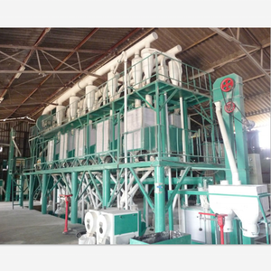 maize processing plant cost