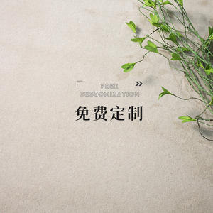 Tapis de salon minimaliste de couleur unie nordique, carré, en fibre de polyester épaisse, pour usage domestique, personnalisable - Product Image 3