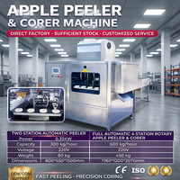 Automatische hoogproductieve machine voor het schillen, ontpitten en snijden van appels en groenten voor de fruitverwerking