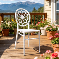 Chaise Chiavari en résine durable à prix abordable, idéale pour les mariages en plein air, les fêtes et les jardins – Chaises élégantes en plastique
