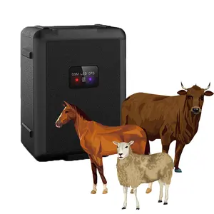 Anytracking Newly released cow horse camel goats 4G LTE TDD animal GPS tracker livestock equipment 20000mAh battery V55