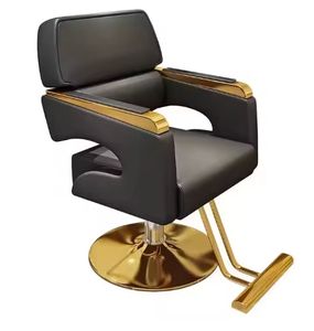 Asiento de corte de pelo elevador moderno al por mayor Silla de salón de belleza para mujer Silla de peluquería profesional Silla de peluquería - Product Image 1