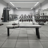 Banc de musculation multifonctionnel pour exercices de fitness, banc plat pour sit-ups et développés couchés