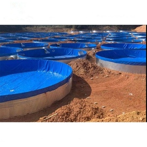 Equipo de Acuicultura de Agua Circulante Totalmente Automático de Alta Densidad para Cría de Peces, Camarones y Cangrejos - Product Image 3