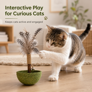 Jouet interactif pour chat avec plumes, bâtonnet naturel à gratter avec clochette, jouet d'intérieur pour chatons curieux - Product Image 1