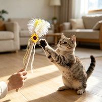 Bâtonnet de jeu pour chat à plumes colorées, léger, avec clochette, pour l'exercice et le divertissement quotidien des chatons, anti-ennui et sûr