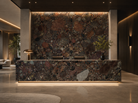 Dalle de marbre poli Rainbow Stone pour panneau mural TV, plan de toilette de salle de bain, comptoir de bar, contour de cheminée, plateau de table, rehausseur d'escalier