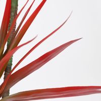 Plante artificielle en plastique Agave en pot pour l'intérieur et l'extérieur, décoration de maison, bureau, jardin, faux arbres, plantes artificielles