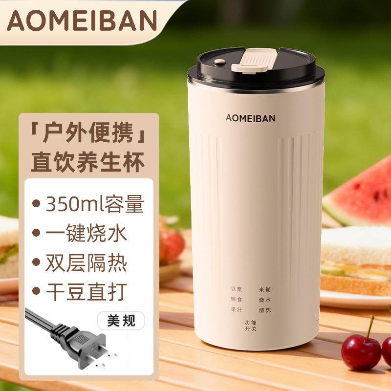 มาตรฐานสหรัฐอเมริกา (110V)