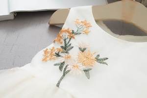 Vestidos de Verano 2021 para Niñas, sin Mangas, Bordados, de Malla y Gasa - Product Image 4