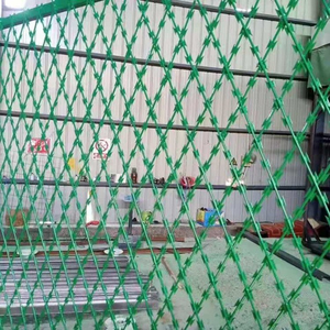 Thấp giá tù lưới hàng rào nhúng nóng mạ kẽm dao cạo dây thép gai - Product Image 2