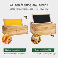 Ruche à abeilles durable 8 cadres, boîte à abeilles, maison à abeilles, 100% revêtement en cire d'abeille, kit de démarrage pour apiculture