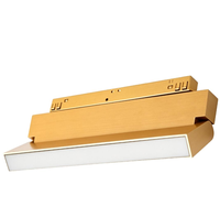 Spot lumineux magnétique encastré sans bordure doré pour plafond, éclairage magnétique à montage en surface pour salon, villa, maison