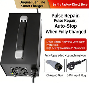 <span class=keywords><strong>Chargeur</strong></span> de batterie AC/DC 72 volts 84V Lithium et 87,6V LiFePO4 25A 20A 18A <span class=keywords><strong>pour</strong></span> véhicules <span class=keywords><strong>électrique</strong></span>s - Product Image 5