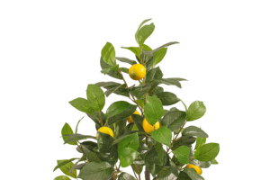 Citronnier artificiel de 3 pieds 90cm, arbre fruitier artificiel pour la décoration intérieure - Product Image 2