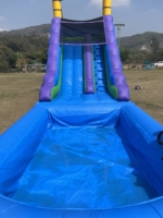 Toboggan gonflable commercial en PVC pour fête estivale, toboggan aquatique gonflable avec piscine amovible, toboggan extérieur pour jardin, vente en gros