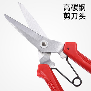 Fruit Picker Shears Stainless Steel 10-20 Mm Bypass Pruner For Gardening And Harvesting - Product Image 3