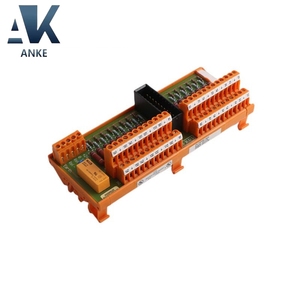 โมดูลอินพุตแบบอนาล็อกของ FS-TSFIRE-1624 Honeywell - Product Image 2