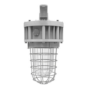 Projecteur antidéflagrant Classe 1 Division 1 UL844 avec globe en verre et protection en acier inoxydable 20W 30W 40W homologué UL ETL - Product Image 2