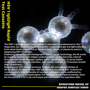 Emballage personnalisable Vivatest HSV 1/ 2 Igg Igm test Kit <span class=keywords><strong>Herpes</strong></span> Simplex Virus Test à domicile Kit marqué CE - Product Image 2