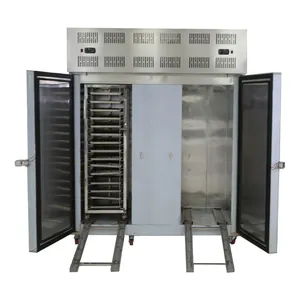 Super fast shock tunnel iqf reach-in blast chiller freezer